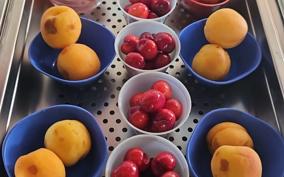 WhatsApp Image 2025-10-10 at 10.30.49 AM